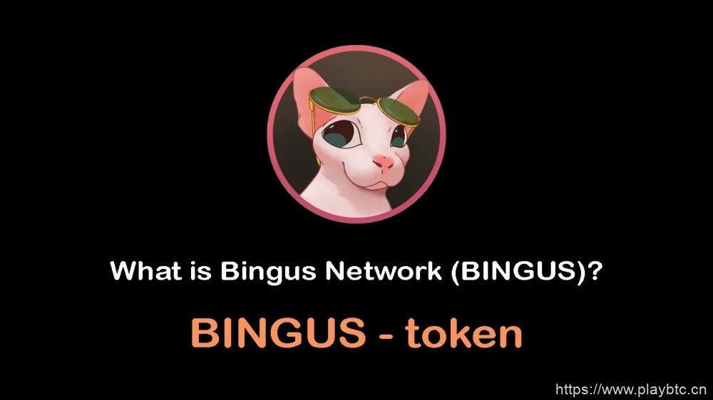 什么是Bingus Network（Bingus）代币？