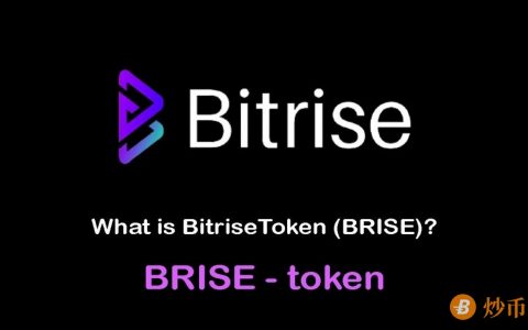 什么是BitriseToken（BRISE）代币？专注于区块链技术产品和审计解决方案