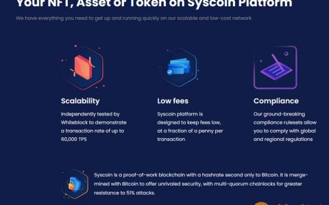 什么是Syscoin？用于未来验证支付的区块链协议