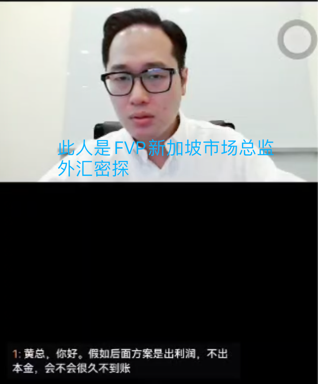 直击FVP Trade视频大会！请记住这位新加坡总监的嘴脸插图1