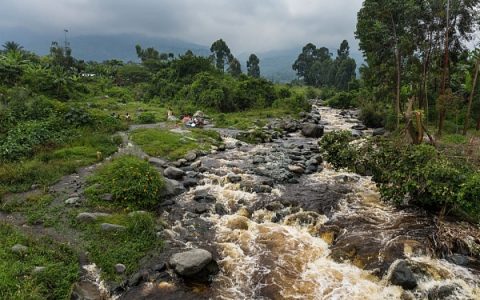 MIT 特稿：为什么比特币成为刚果国家公园的“救世主”