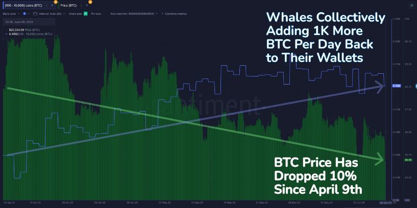 比特币（BTC）价格BTC Whale Accumulation