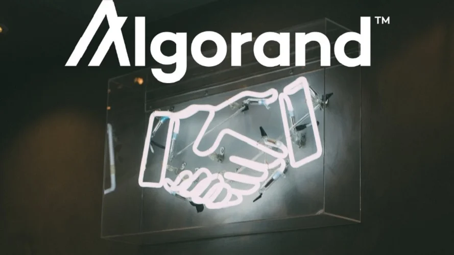 美国证券交易委员会提起诉讼后，Algorand 和 Flow 价格跌至历史最低点