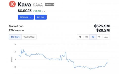Tether 在KAVA区块链上推出 USDT稳定币