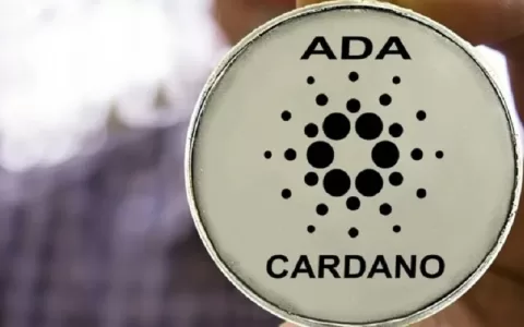 反转：Cardano (ADA) 上涨 5%，其他市场呈红色